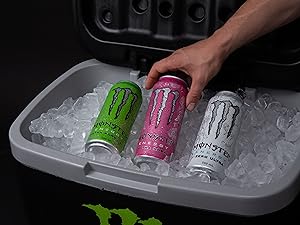 Sugar-Free 16oz Energy Drink (15 Cans) | Caffeine + Zero Cal
